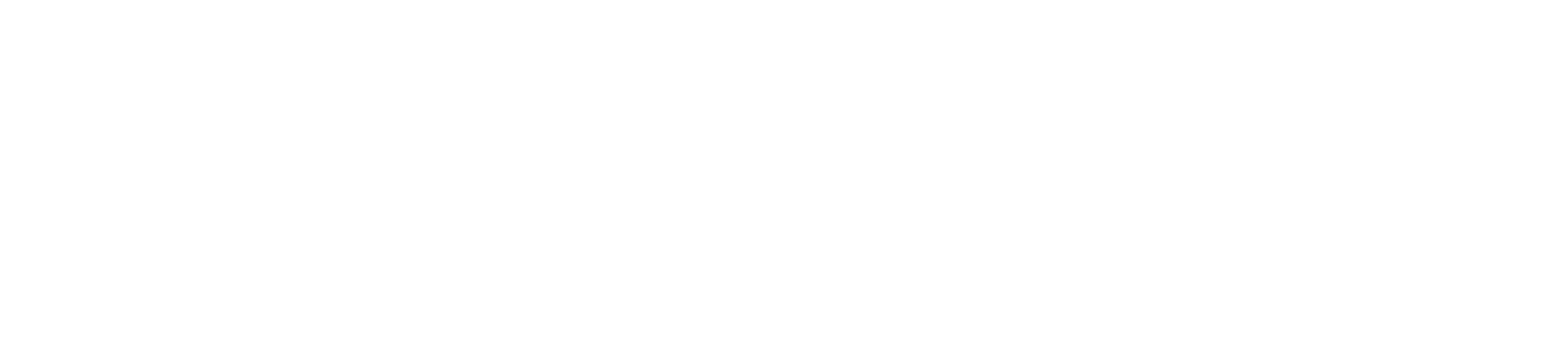 Logo WizjaNet